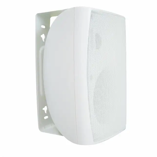 Conference System speaker PA system Wall speaker Series includes IP network and wireless WIFI playback function