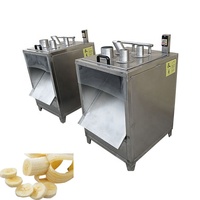 Joyshine Automatische Groente- en Fruit Snijmachine, Bananen- en Plantainsnijder