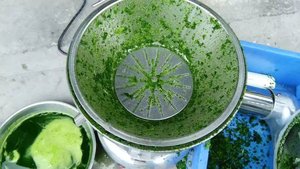 Extrator de suco de gengibre/em alta qualidade, espremedor de suco, máquina de suco - Product Image 4