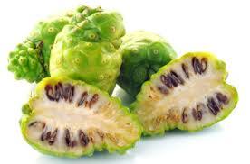 Pabrik Grosir Bubuk Ekstrak Buah <span class=keywords><strong>Noni</strong></span> Ekstrak