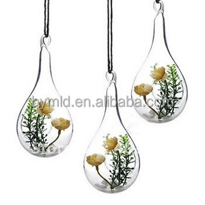 Terrari appesi in vetro a forma di cuore e a goccia perfetti per piante aeree eco-compatibili - Product Image 5