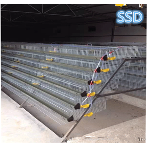 Yeni Tel Örgü Bıldırcın Çiftliği Kafesi Düşük Karbonlu Çelik Sıcak Galvanizli 600 Adet Kapasiteli Kolay Kurulum - Product Image 2