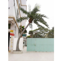 Guangzhou fiberglass artificial coconut tree for outdoor decorative
