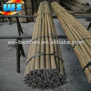 doğrultma büyük bambu