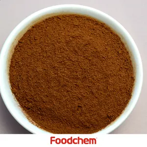 Premium Qualität Dunkelbraun Natürliche Kakao Pulver Aus China Lieferant
