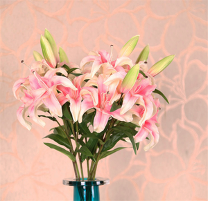 प्राकृतिक calla लिली बल्ब थोक लिली सफेद फूल थोक - Product Image 2