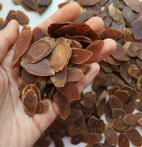 निः शुल्क नमूने लाल गिन्सेंग स्लाइस शहद का कटा हुआ गिन्सेंग कोरियन रेड गिन्सेंग टैबलेट - Product Image 5