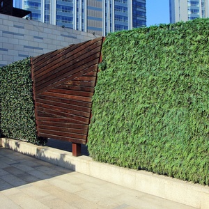 سهلة التركيب 3-5 سنوات الضمان الديكور الجدار الأخضر المعيشة للفحص في الهواء الطلق - Product Image 2