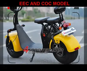 EEC approved electric scooter malaysia price fashion two wheel electric scooter citycoco