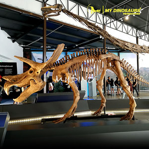 V-modelo de esqueleto de dinosaurio de calidad de museo, tamaño Real - Product Image 3