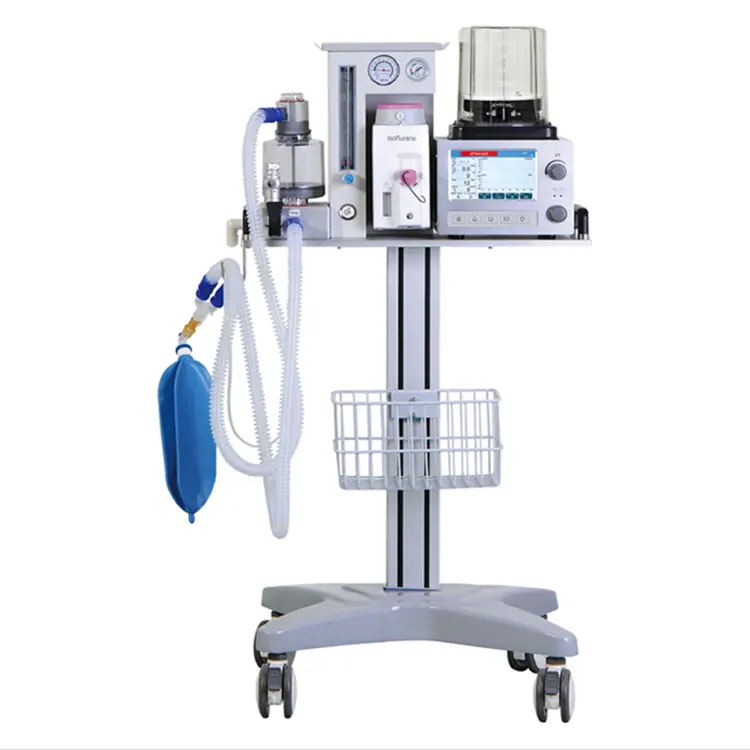 Vet Veterinary Anesthesia Machine DM6B Anesthesia Ventilator with 7 inch Screen Use for Dogs Cats and Big Animals