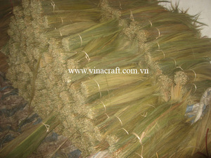 Recogedor de materia prima de escoba de hierba de Vietnam con cabezal de escoba de madera y plástico para limpieza a la venta - Product Image 2