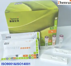 Rapid One Step Diagnostic Chlamydia rapid test kit