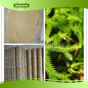 100% Heavy Lycopodium Spore Powder Wild-Cultivated Herbal <strong>Extract</strong> In Drum Packaging - Product Image 4