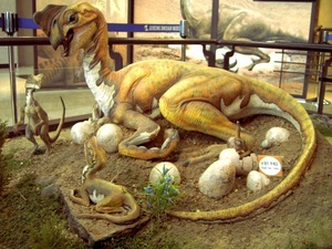 Dinosaurio de Zoológico, Huevos de Robot, <span class=keywords><strong>Oviraptor</strong></span> Animatrónico de Tamaño Real - Product Image 2