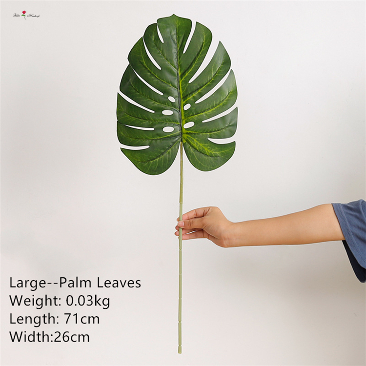 Large Palm Leaves
