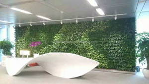 surtidor de China al por mayor decoración del jardín <span class=keywords><strong>pared</strong></span> planta artificial verde artificial <span class=keywords><strong>pared</strong></span>/jardín de la <span class=keywords><strong>pared</strong></span> <span class=keywords><strong>vertical</strong></span> - Product Image 6