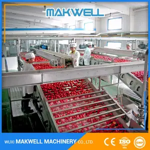 OEM Angeboten Lieferant Sauce Making Ausrüstung Tomaten Verarbeitung Maschine