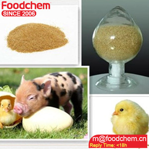 كلوريد الكولين عالي الجودة 50 <span class=keywords><strong>60</strong></span> 70 كوب الذرة - Product Image 4