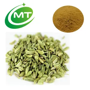 100% natural best price top quality Oragnic Fennel Extract Foeniculum vulgare extract powder fennel seed extract