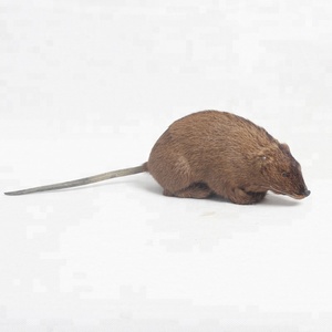 Personnalisé <span class=keywords><strong>Mickey</strong></span> Mouse Ornement Souris dans Santa Chapeau Ornement - Product Image 2