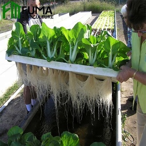 Eco-friendly commerciale aquaponics serra di plastica <span class=keywords><strong>per</strong></span> i pesci e pianta <span class=keywords><strong>crescere</strong></span> <span class=keywords><strong>insieme</strong></span> coltura fuori suolo - Product Image 6