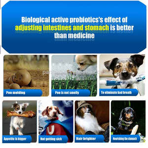 Suplemento para perros, probióticos, músculos y caballos - Product Image 3
