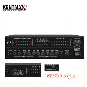 Vietnam Hot Sell 90W*2 <strong>Birds</strong> <strong>Nest</strong> <strong>Swiftlet</strong> Power Ampliers Swallow Sound Amplifier - Product Image 2