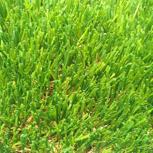 Giá rẻ giá tổng hợp vườn trung tâm cỏ nhân tạo trong <span class=keywords><strong>philippines</strong></span> cảnh quan bãi cỏ johannesburg - Product Image 6