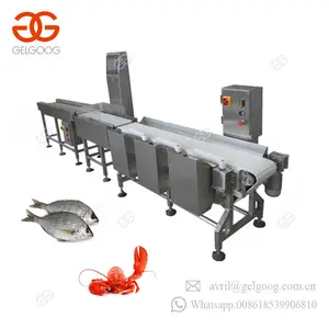 Fish Sorting Machine Commercial Frozen Fish Weigh Sorting Machine