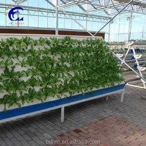 Invernadero Hidropónico de Policarbonato con Sistema de Cultivo para Vegetales - Product Image 4