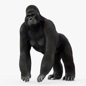 Custom 3D <strong>Gorilla</strong> <strong>Statue</strong> - Product Image 5