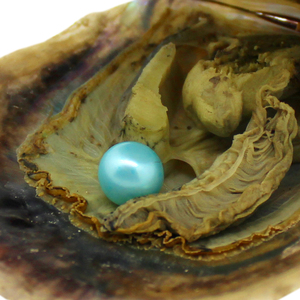 Ostriche confezionate sottovuoto da 6-7mm akoya pearl oyster saltwater pearl oyster molti colori stock spedizione gratuita - Product Image 3