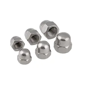 Stainless Steel Hex Head 돔 캡 Nut Free Sample 를 표시