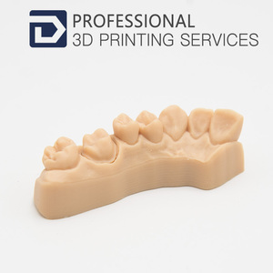Dents en résine, haute précision, modèle dentaire, <span class=keywords><strong>impression</strong></span> <span class=keywords><strong>3d</strong></span>, - Product Image 3
