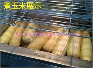 Home use electric sweet corn boiling machine for sale