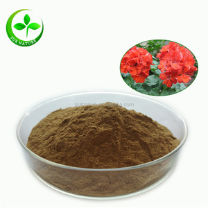 Suministro de Extracto de <span class=keywords><strong>Pelargonium</strong></span> Sidoides en Polvo de Alta Calidad 10:1 20:1 - Product Image 2