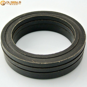 Interpump Ws201 물개를 위한 직물 V 패킹 물개를 가진 무거운 예비 품목 Nbr Fkm - Product Image 5
