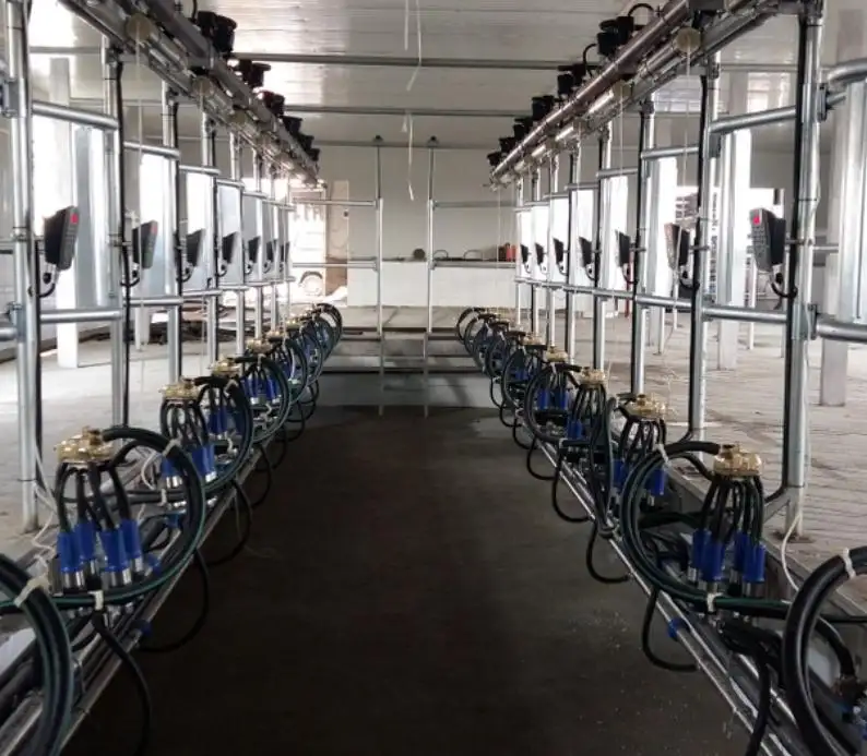 Herringbone Jenis Sapi Milking Herd dengan Elektrik Milk Meter Sistem