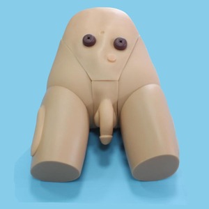 学習する学生のための高品質の医療科学シノン女性看護モデル器とカテーテルシミュレーター