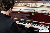 Clavier de piano virtuel Chloris 88 touches, types de marques de pianos acoustiques droits en bois d'acajou à vendre HU-123M