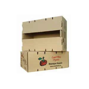 Customized Qingdao Fruit Carton Packaging Big Orange Box