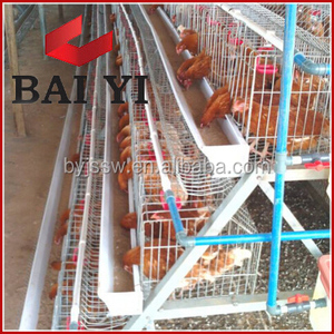 Comercio GARANTÍA DE <span class=keywords><strong>Gamefowl</strong></span> cúpula pluma jaula de pollo para la venta - Product Image 5