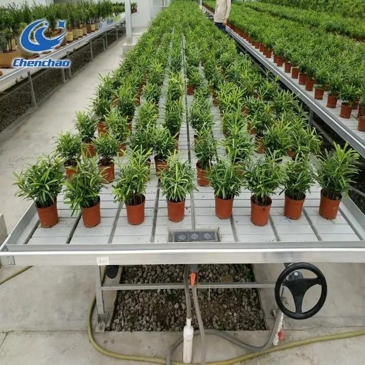 Grape Seedling Seedbed Galvanized Steel Frame Nursery Greenhouse