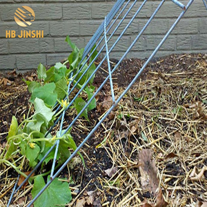 <span class=keywords><strong>Support</strong></span> d'escalade pour <span class=keywords><strong>plantes</strong></span>, treillis de jardin - Product Image 6