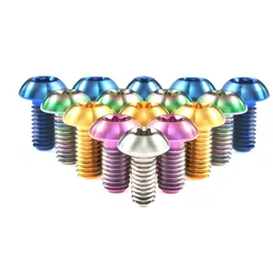 Custom High Precision CNC Rainbow Titanium Screws