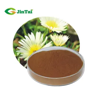 शीर्ष गुणवत्ता Kanna निकालने 10:1, 200:1 Sceletium tortuosum निकालने