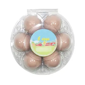 Disposable Plastic Tray Custom Round 6 Compartment Clear Reusable Plastic Egg Packaging Box