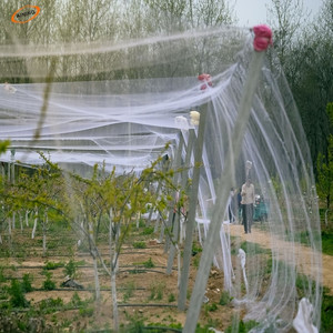 La jaula de aves de compensación/de alta resistencia de aves <span class=keywords><strong>contra</strong></span> la <span class=keywords><strong>red</strong></span>/viñedo de aves de compensación - Product Image 2