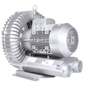 750w Regenerative Air Blower For Jacuzzi And SPA Aeration